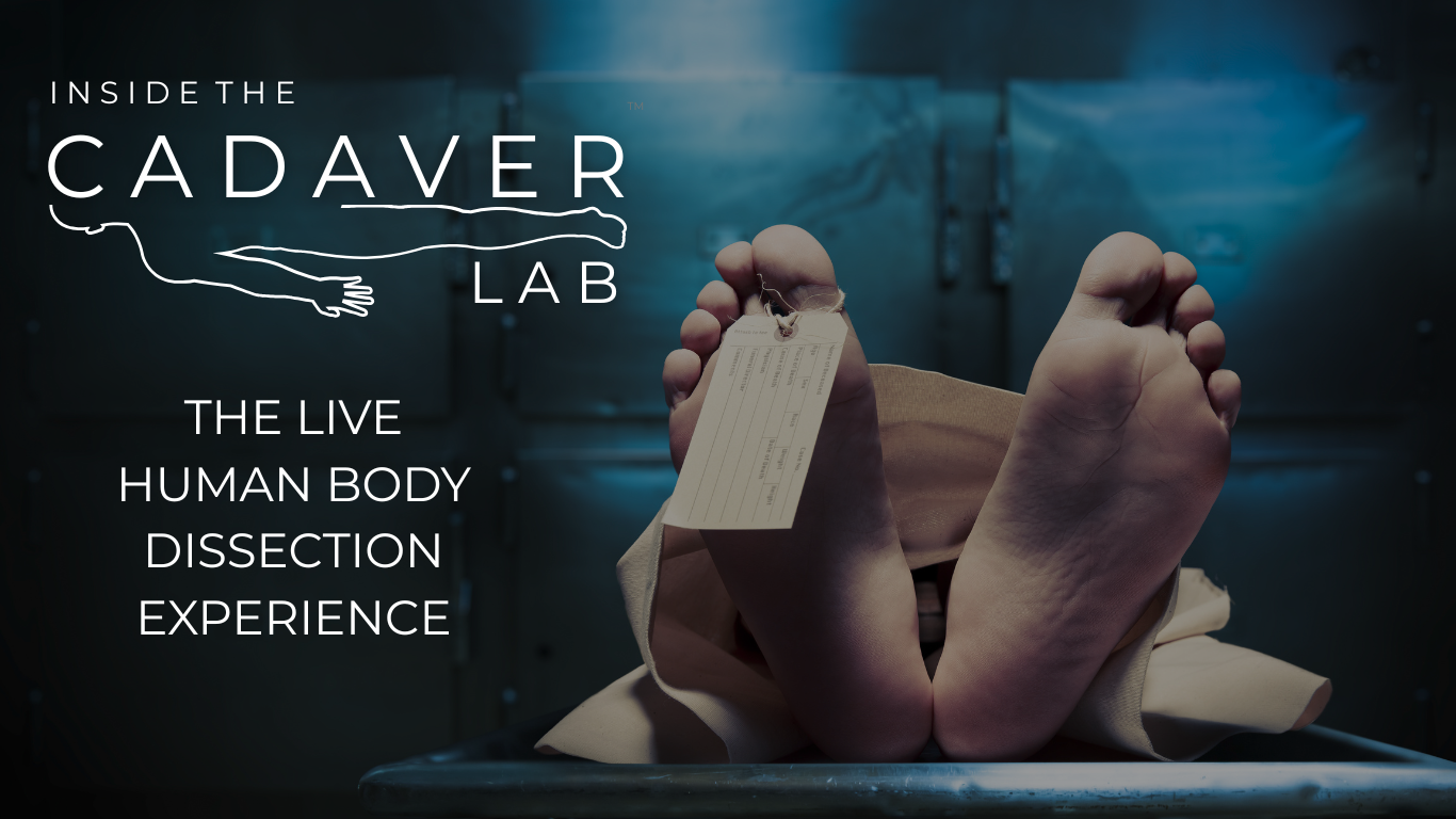 Inside the Cadaver Lab - Sheffield Hallam University