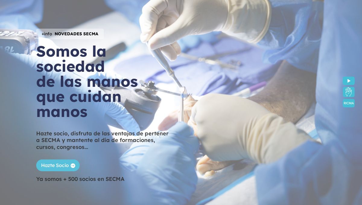 FESSH Foundation Course Malaga